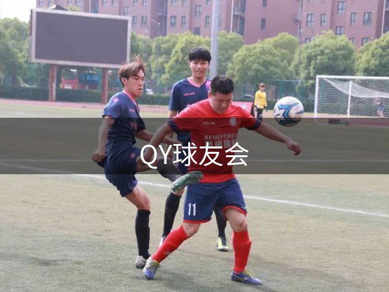 网站立足之本